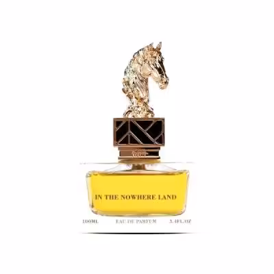 عطر لوکس In the Nowhere Land برند Aurora