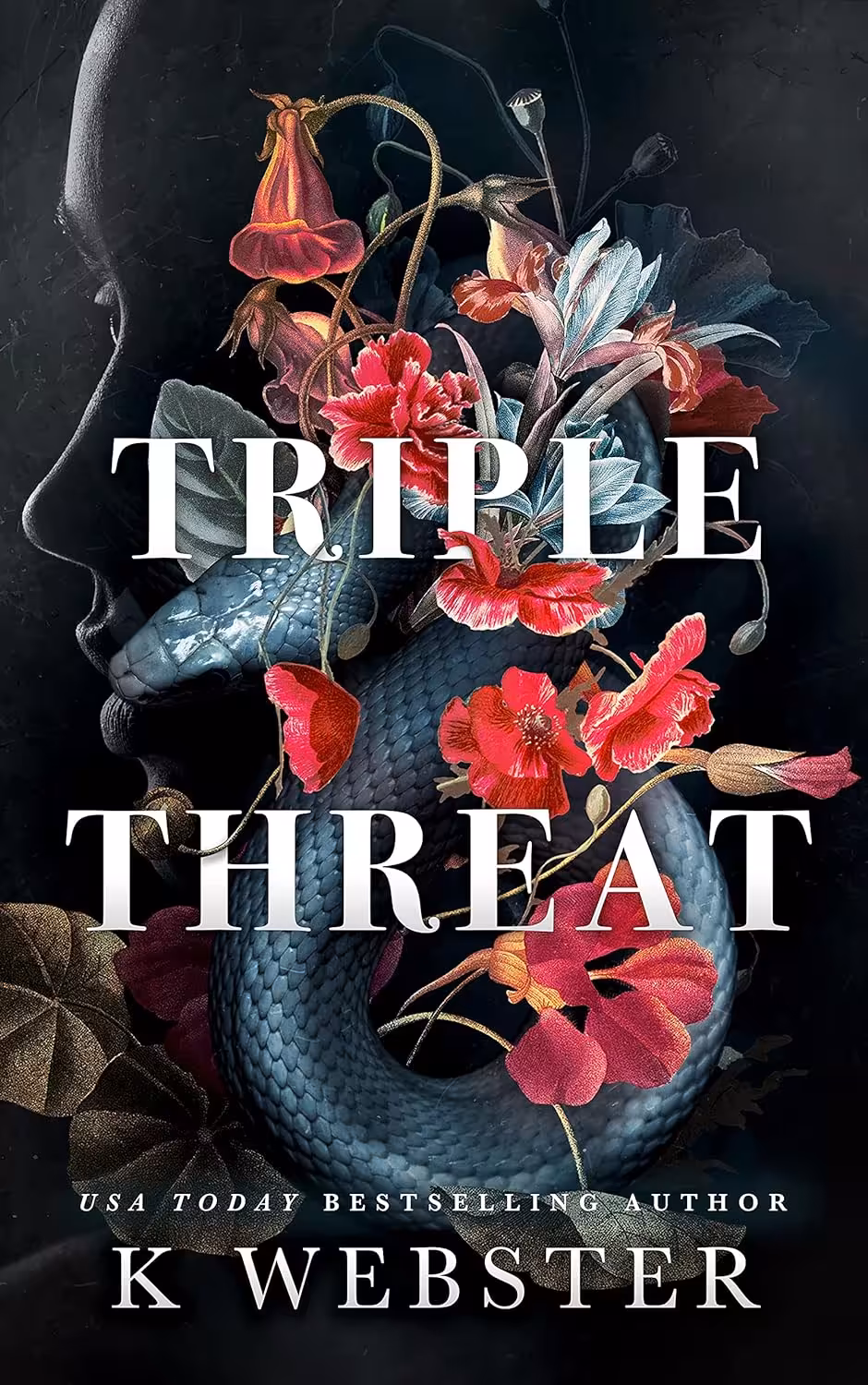 Triple Threat (Deception Duet Book 1) (متن کامل)
