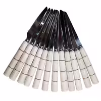 کارد میوه خوری 12 پارچه یونیک طرح رعد کد 112085