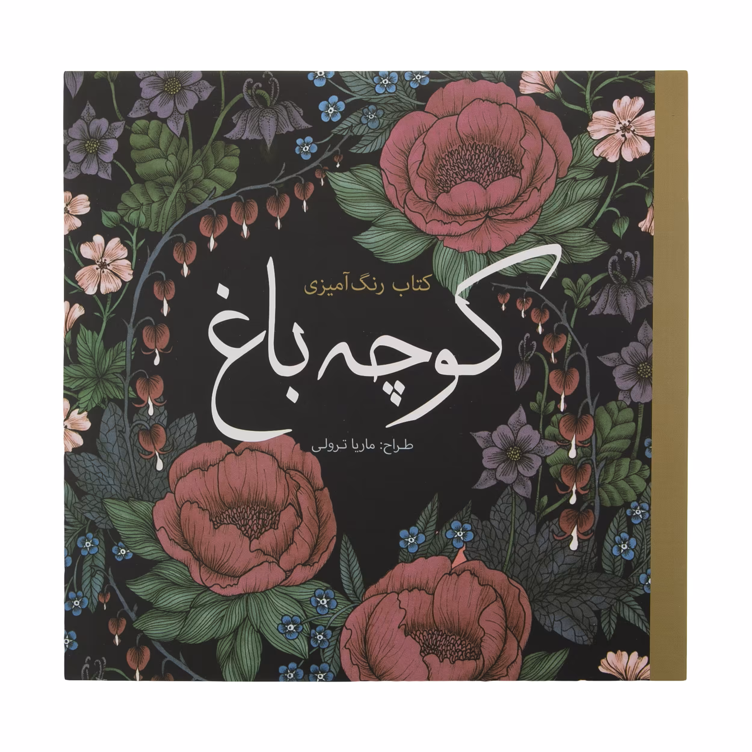کتاب رنگ آمیزی کوچه باغ اثر ماریا ترولی انتشارات سبزان