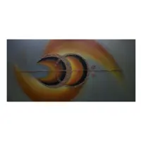 تابلو نقاشی اکریلیک طرح سنبل کد 121
