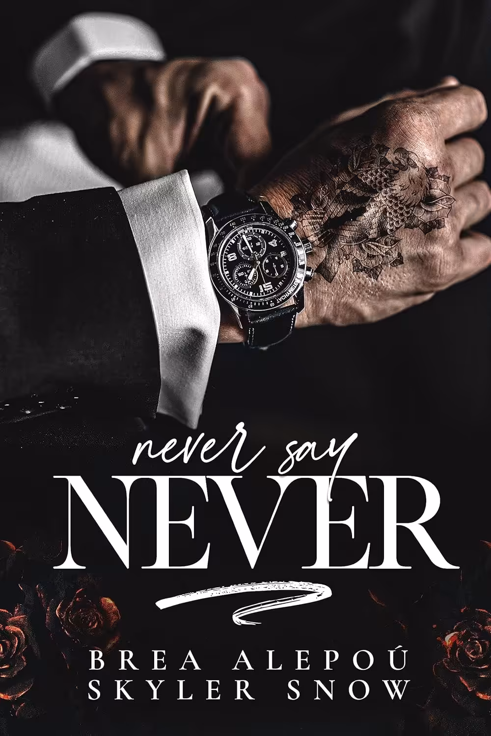 Never Say Never (Vitale Brothers Book 4)