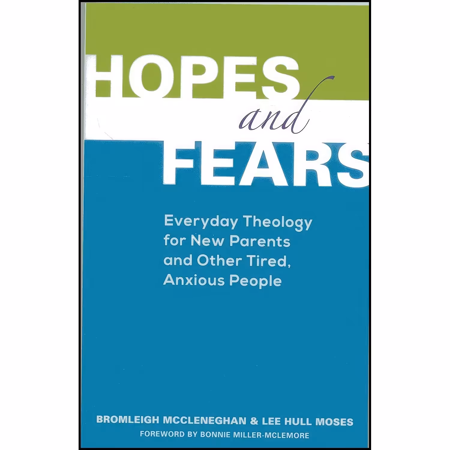 کتاب زبان اصلی Hopes and Fears اثر Lee Hull Moses and Bromleigh McCleneghan
