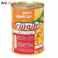 کنسرو ذرت شیرین گلنوش 420 گرم کد336