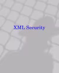 خرید و دانلود نسخه کامل کتاب XML security