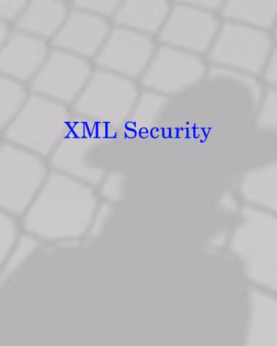 خرید و دانلود نسخه کامل کتاب XML security