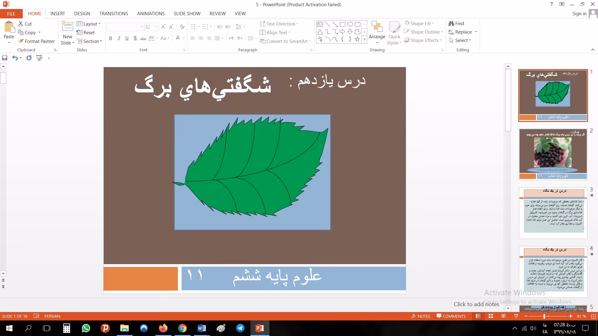 پاورپوینت درس یازدهم علوم مقطع ششم ابتدایی شگفتي‌هاي برگ