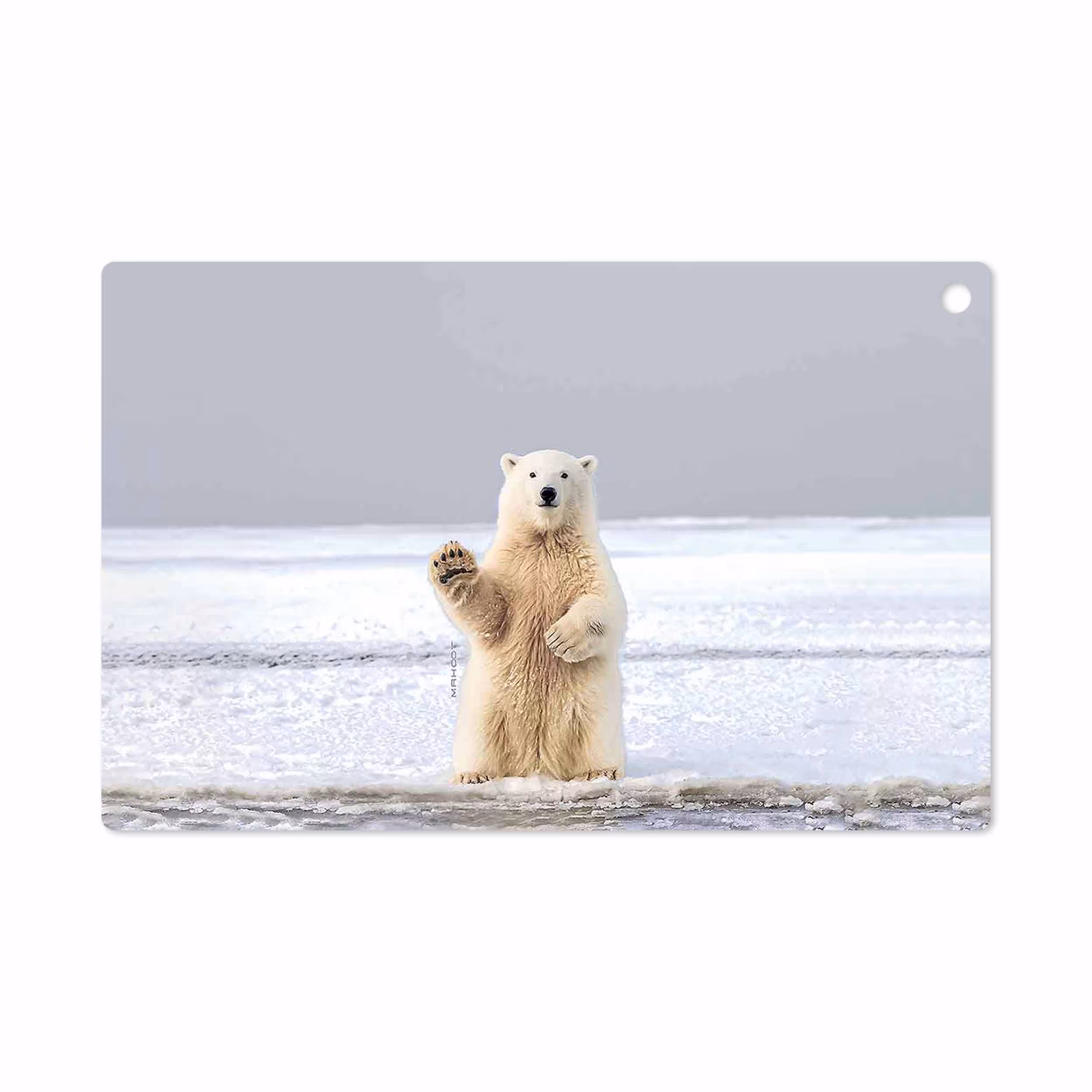 برچسب پوششی ماهوت مدل Polar bear مناسب برای تبلت سونی Xperia Tablet Z LTE 2013
