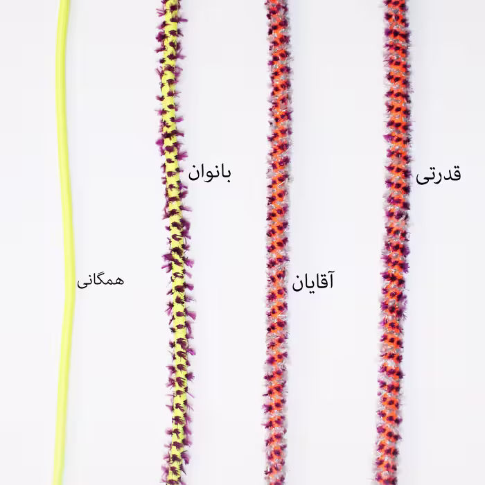 کش بدنسازی مدل X2