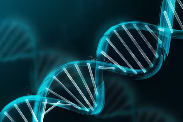 آیا فقط یک سیستم استخراج DNA وجود دارد