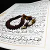 تسبیح خرما سلین کالا مدل CE-TA3