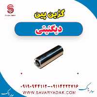 گژین پین دیگنیتی