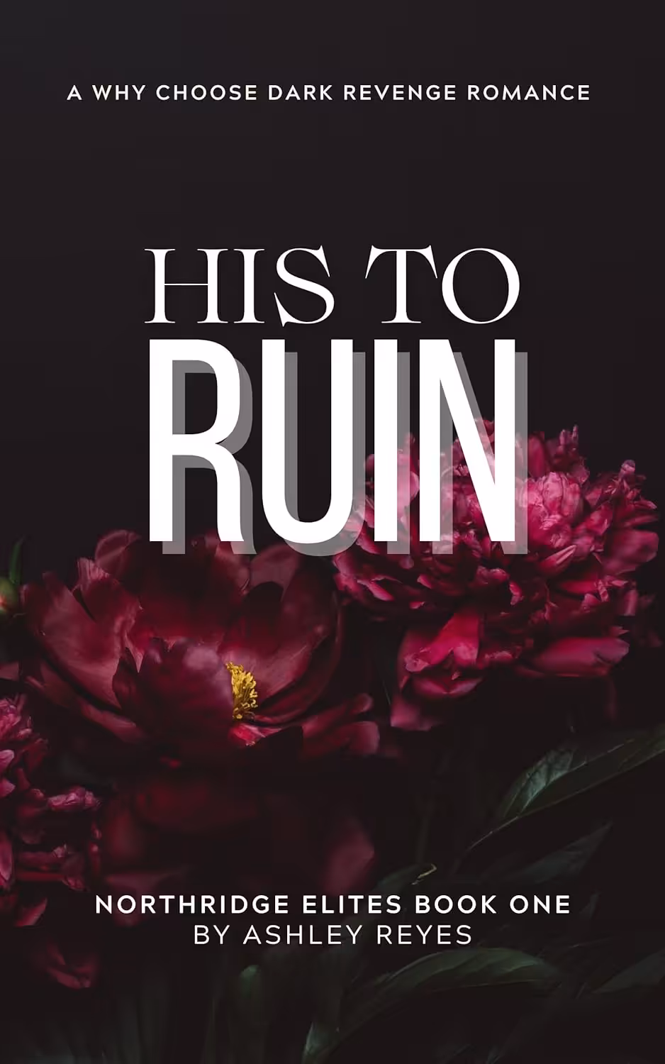 His To Ruin (Northridge Elites Duet Book 1)