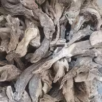 بهمن سفید - 500 گرم