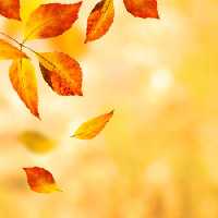 خرید و دانلود عکس Nature-Part-22 کد 36140 | پیک فاکس | Pic Fox