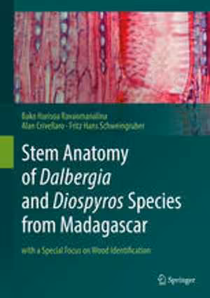 [PDF] دانلود کتاب Stem Anatomy Of Dalbergia And Diospyros Species From Madagascar - With A Special Focus On Wood Identification, 2017