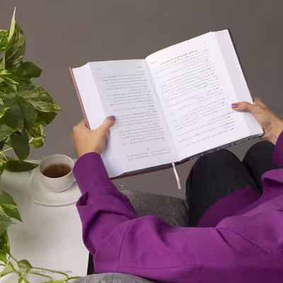 کتاب شاخ نبات حافظ اثر محمدرضا برزگر خالقی انتشارات زوار