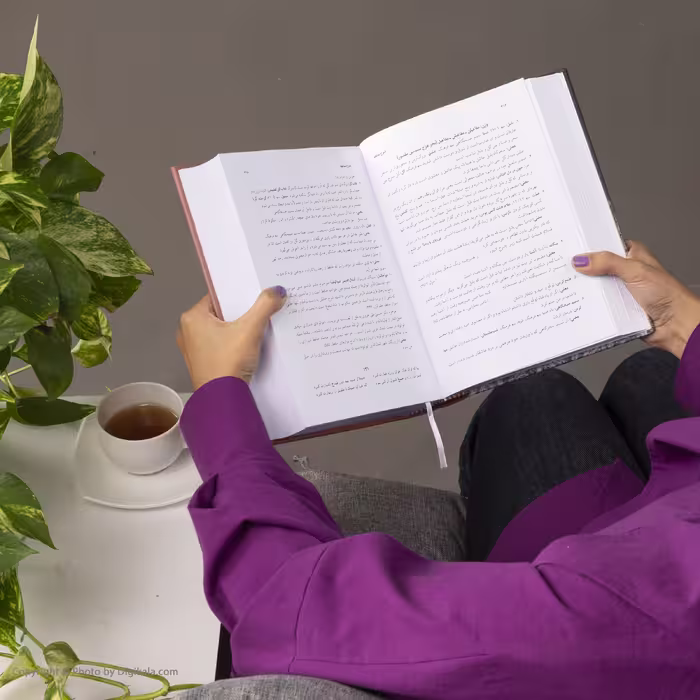 کتاب شاخ نبات حافظ اثر محمدرضا برزگر خالقی انتشارات زوار