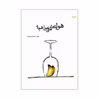 کتاب هوا که می خواهم اثر جلال احمدی حسن آباد نشر نامه مهر