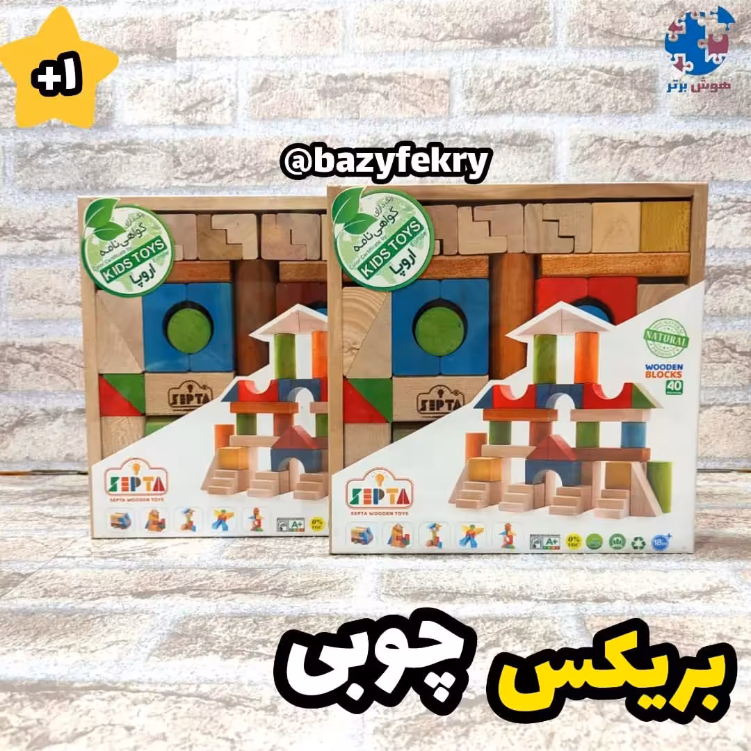 بریکس چوبی سپتا