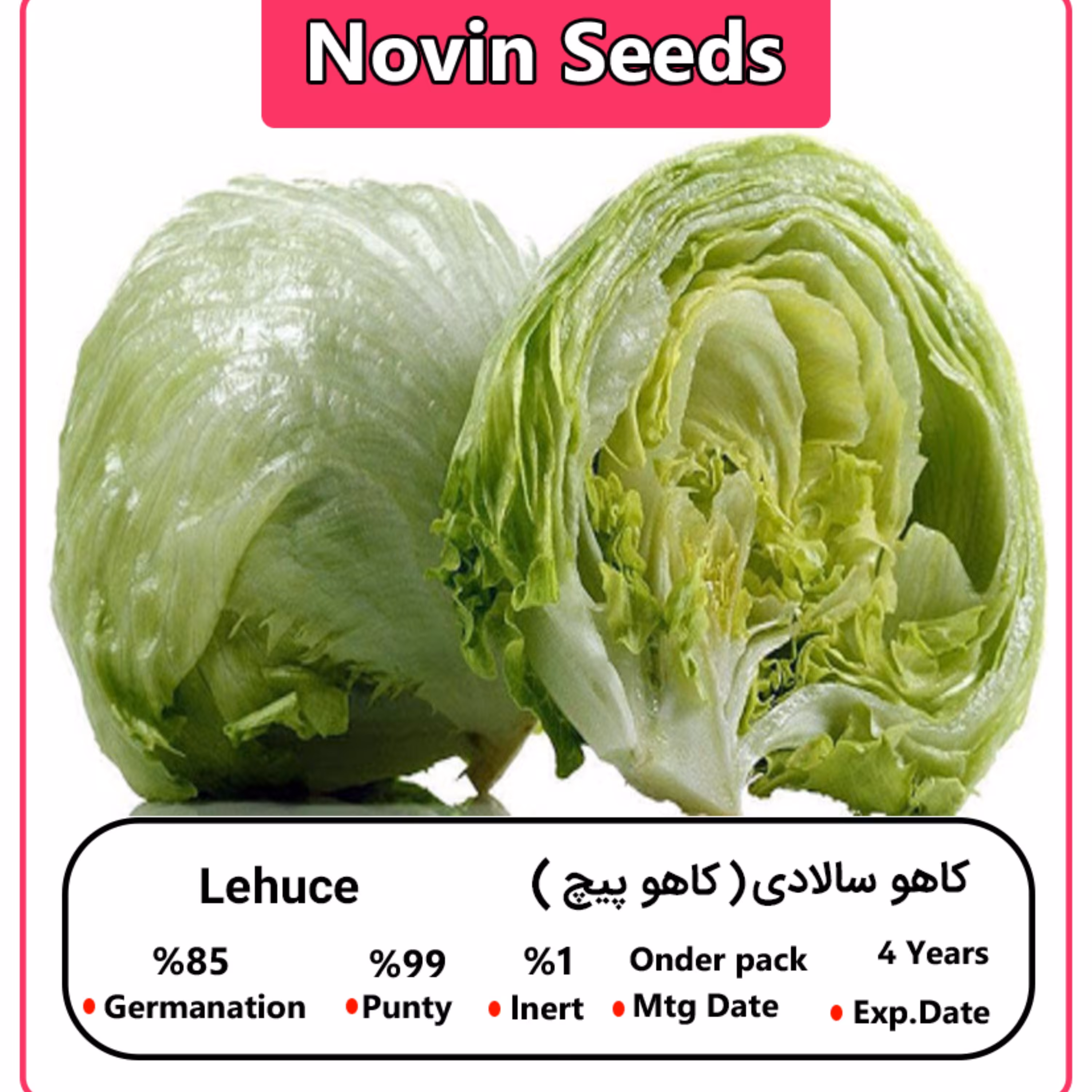 بذر کاهو سالادی (کاهو پیچ)