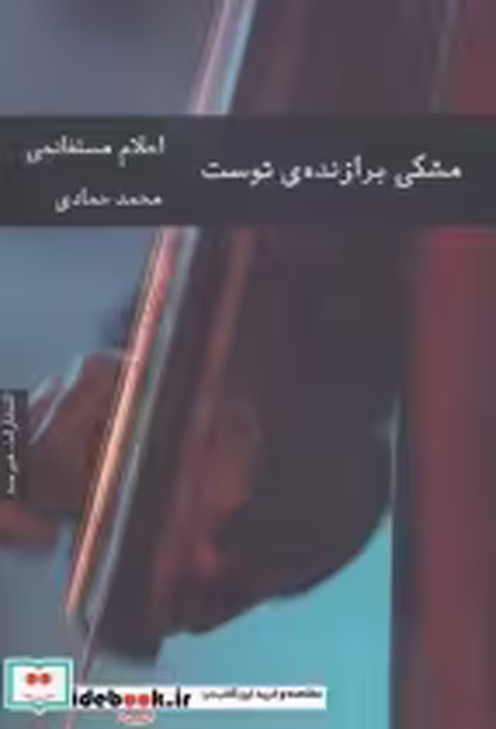 قیمت و خرید کتاب مشکی برازنده توست اثر احلام مستغانمی | ایده بوک