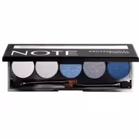 پالت سایه چشم نوت سری Professional Palette شماره 101