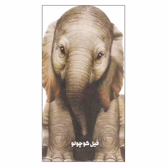 کتاب فیل کوچولو اثر جیووانی کاویزل انتشارات بین المللی گاج