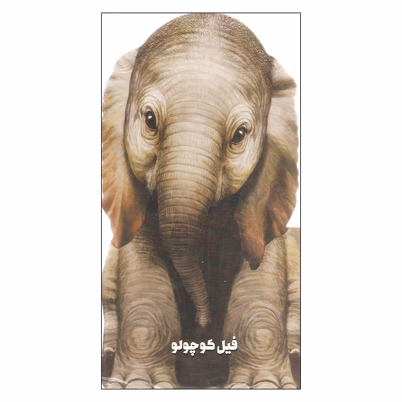 کتاب فیل کوچولو اثر جیووانی کاویزل انتشارات بین المللی گاج