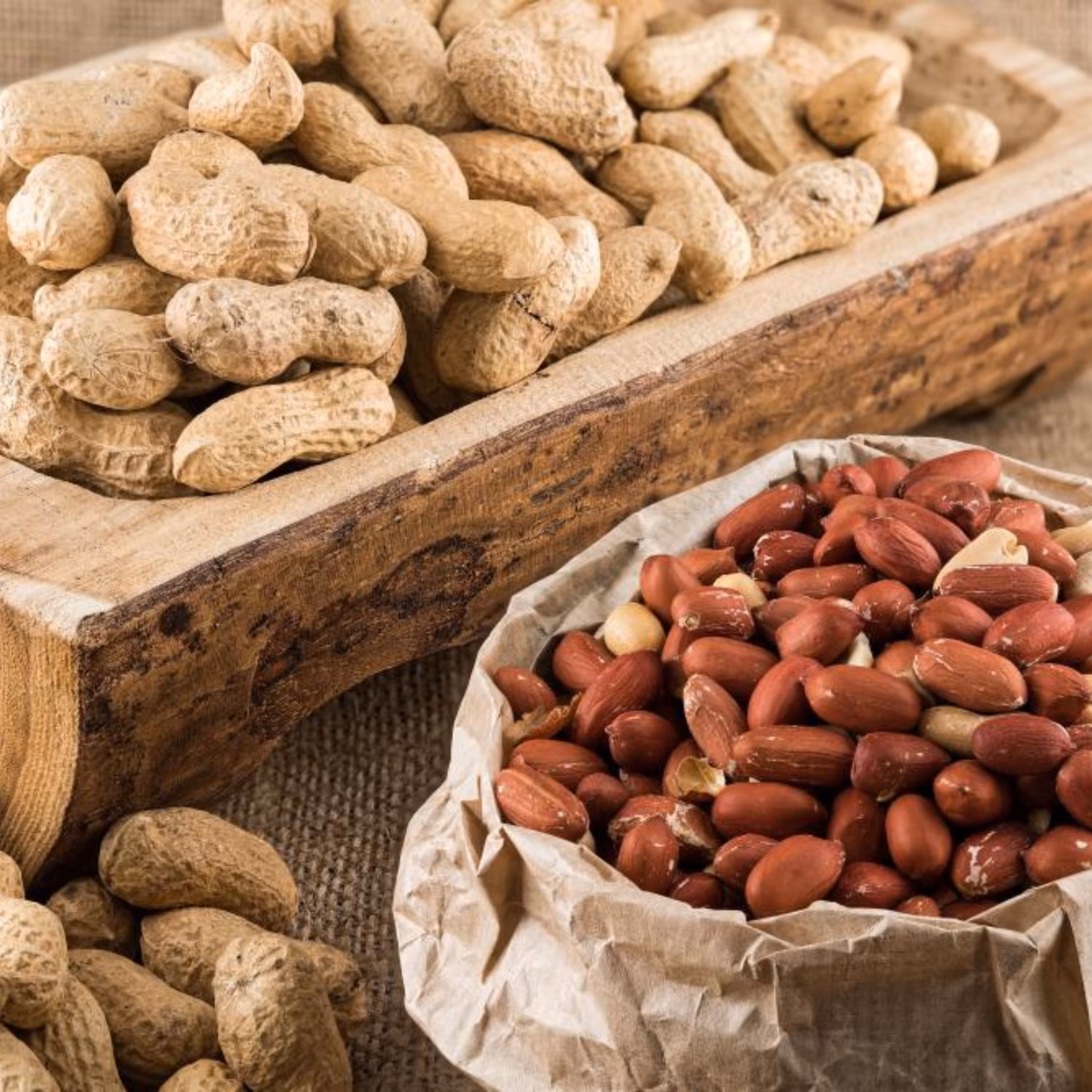 بذر بادام زمینی 5 عددی 