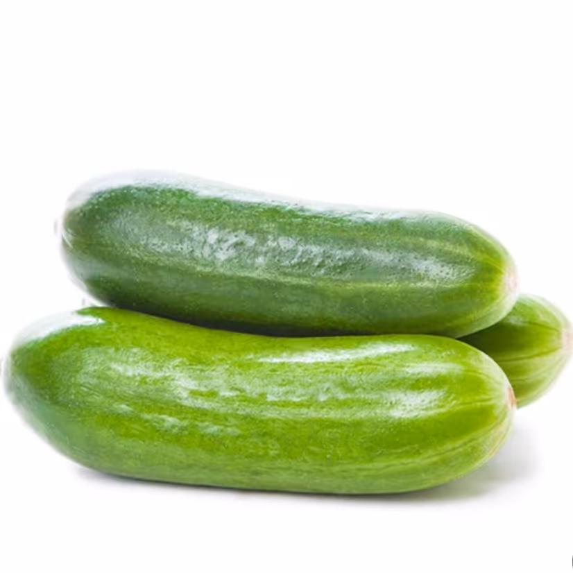 بذر خیار محلی سبز  بسته (40 عددی).