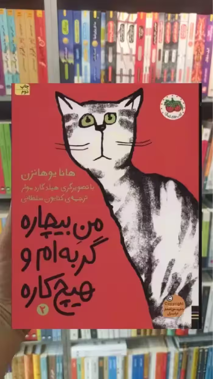 من بیچاره گربه ام و هیچ کاره افق