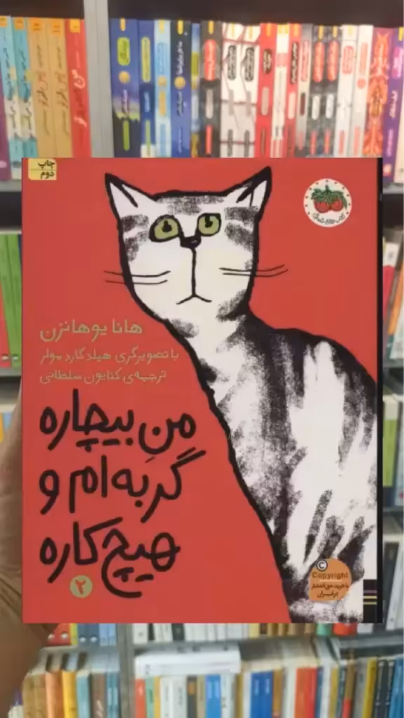 من بیچاره گربه ام و هیچ کاره افق