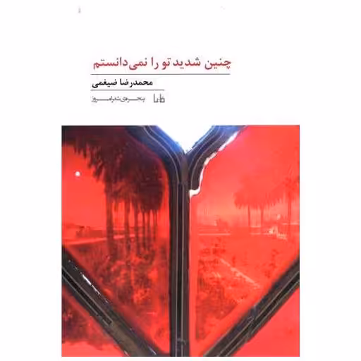 کتاب چنین شدید تو را نمی دانستم اثر محمد رضا ضیغمی