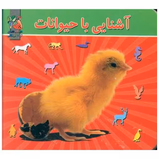 کتاب آشنایی با حیوانات (نیم جیبی)(سخت) اثر مژگان گروه ای