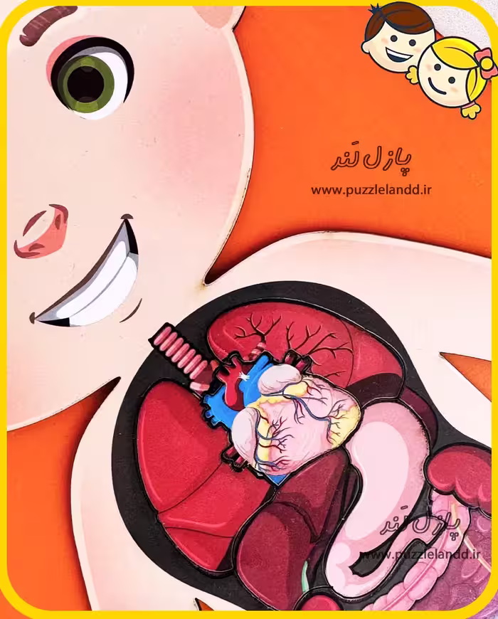 پازل چوبی آناتومی بدن