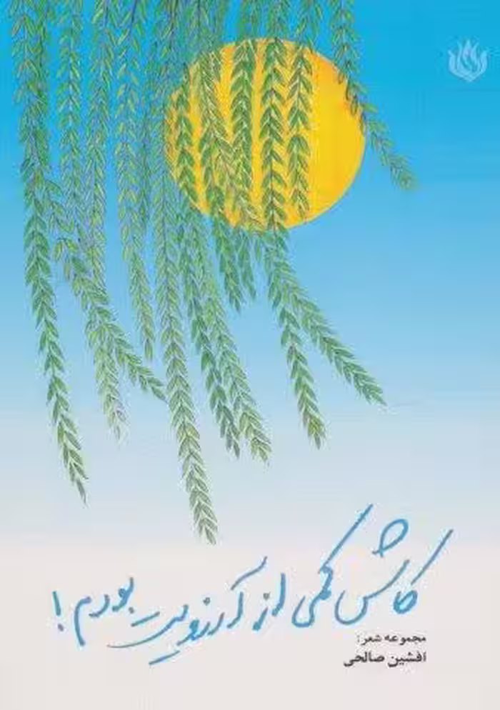 کاش کمی از آرزویت بودم! (مجموعه شعر)