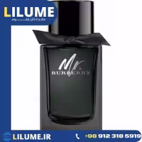 عطر ادکلن باربری مستر باربری ادو پرفیوم 100 میل مردانه