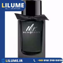 عطر ادکلن باربری مستر باربری ادو پرفیوم 100 میل مردانه