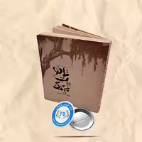 تائوت چینگ جیبی