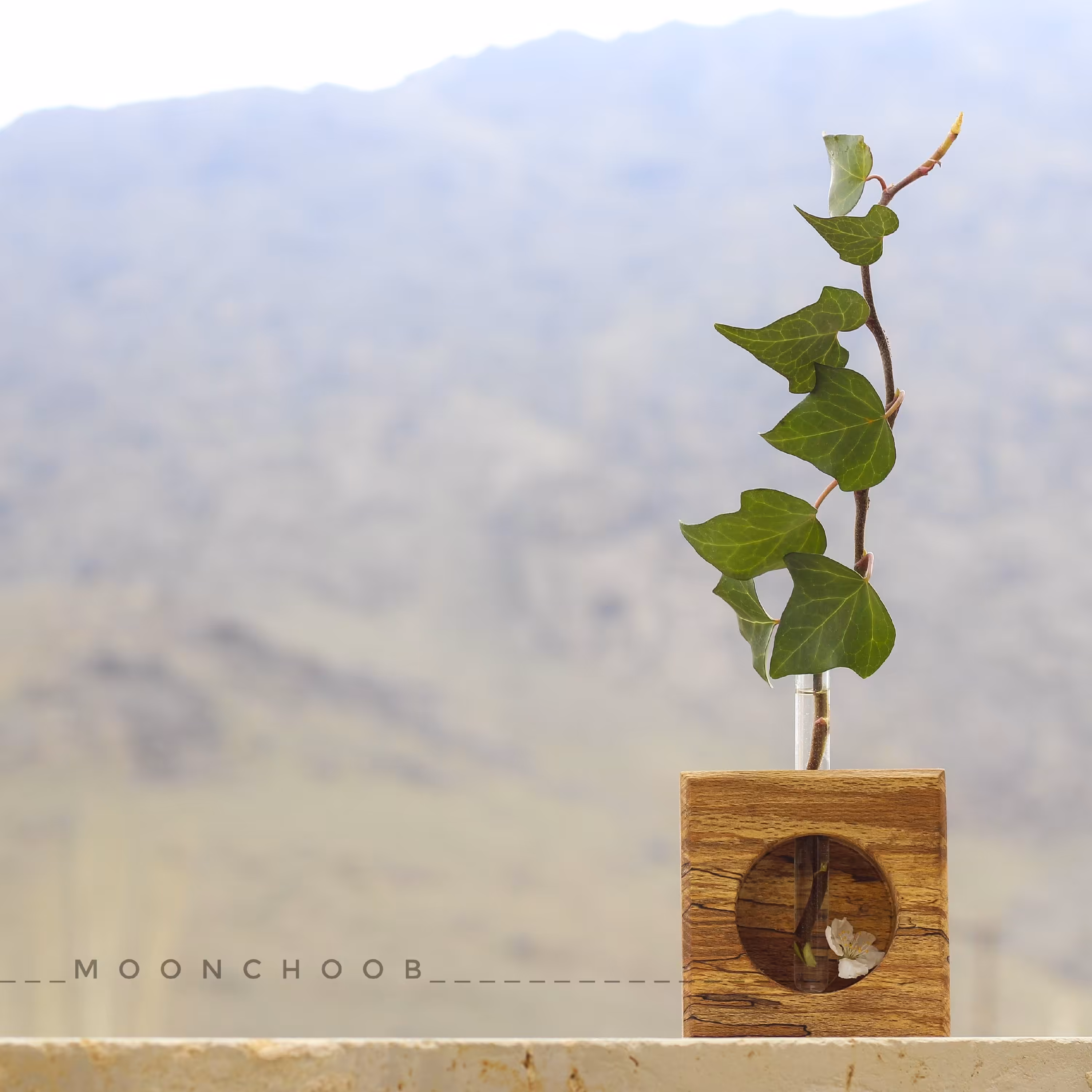 استند گلدون رومیزی