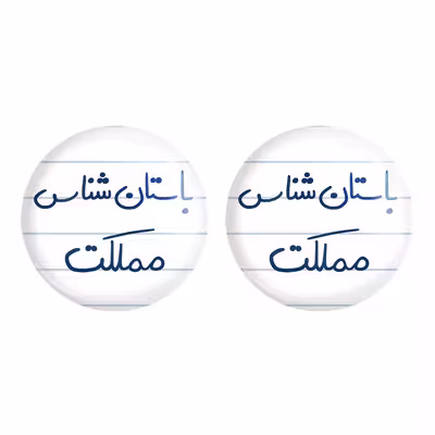 پیکسل خندالو مدل باستان شناس مملکت کد 6516 مجموعه 2 عددی
