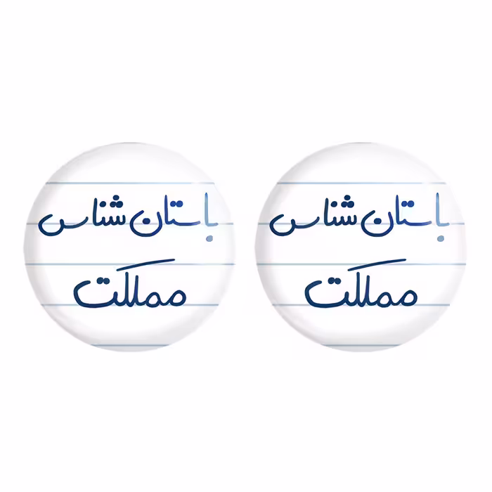 پیکسل خندالو مدل باستان شناس مملکت کد 6516 مجموعه 2 عددی