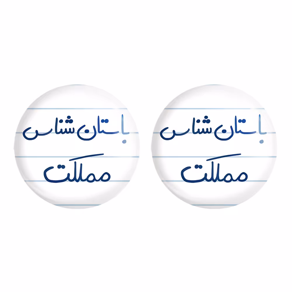 پیکسل خندالو مدل باستان شناس مملکت کد 6516 مجموعه 2 عددی