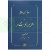 اصول کلی حقوق در حقوق بین الملل سرمایه گذاری | نیک بین