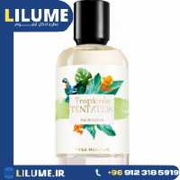 عطر ادکلن ایو روشه تراپیکال تنتیشن 100 میل مردانه – زنانه