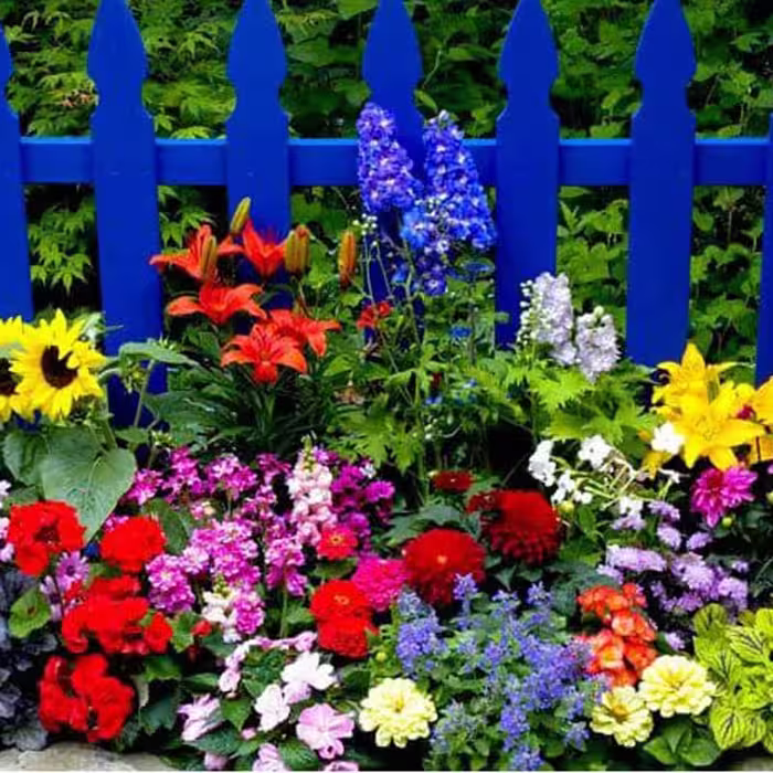 1000 عدد بذر میکس گلهای باغچه  (بیش از 20 نوع)