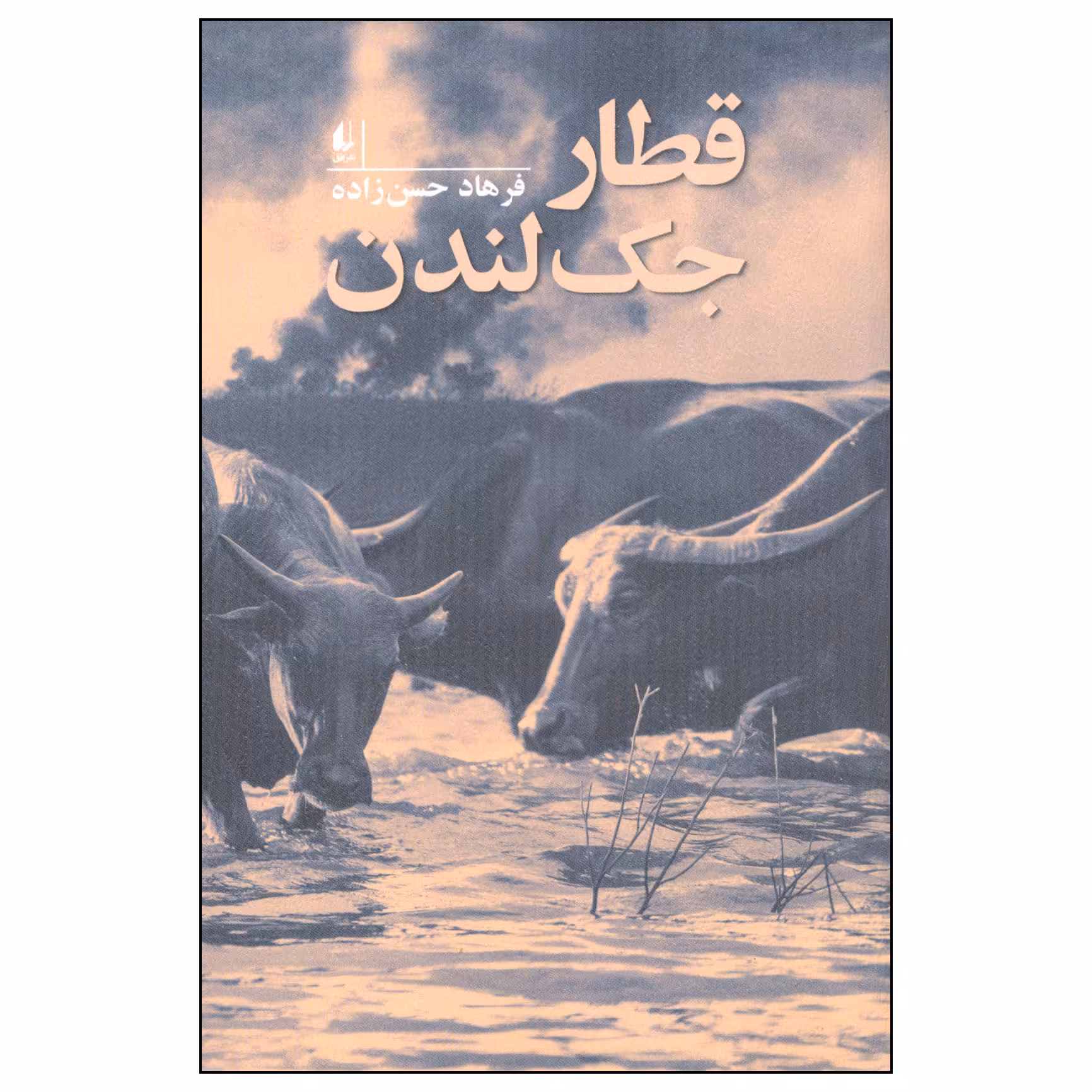 کتاب قطار جک لندن اثر فرهاد حسن زاده نشر افق