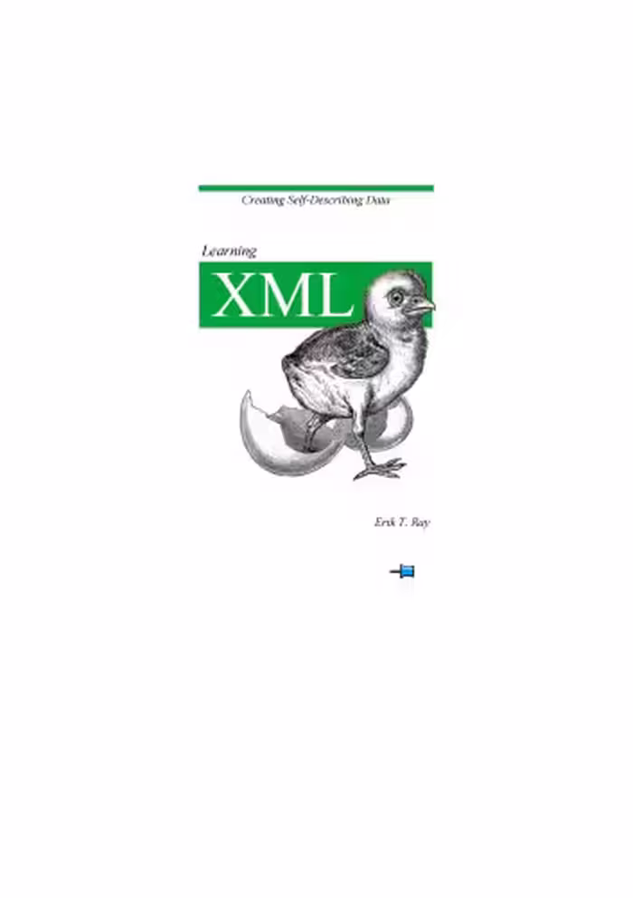 خرید و دانلود نسخه کامل کتاب Learning XML