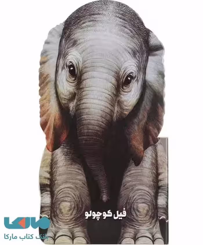 فیل کوچولو گاج
